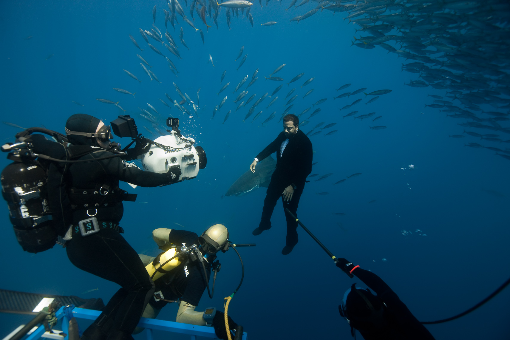 David Blaine & Great White Sharks