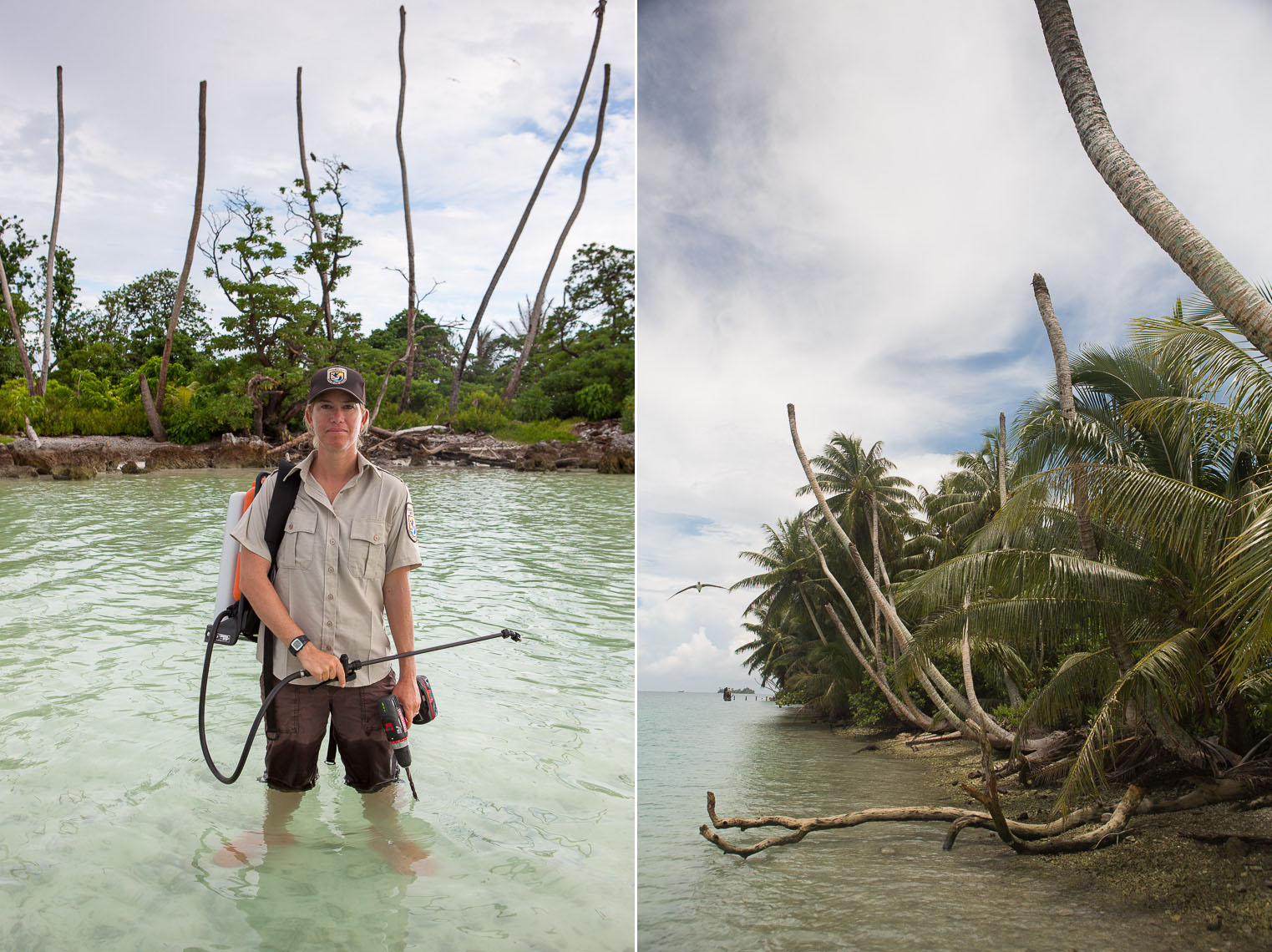 Tim Calver - Palmyra Atoll
