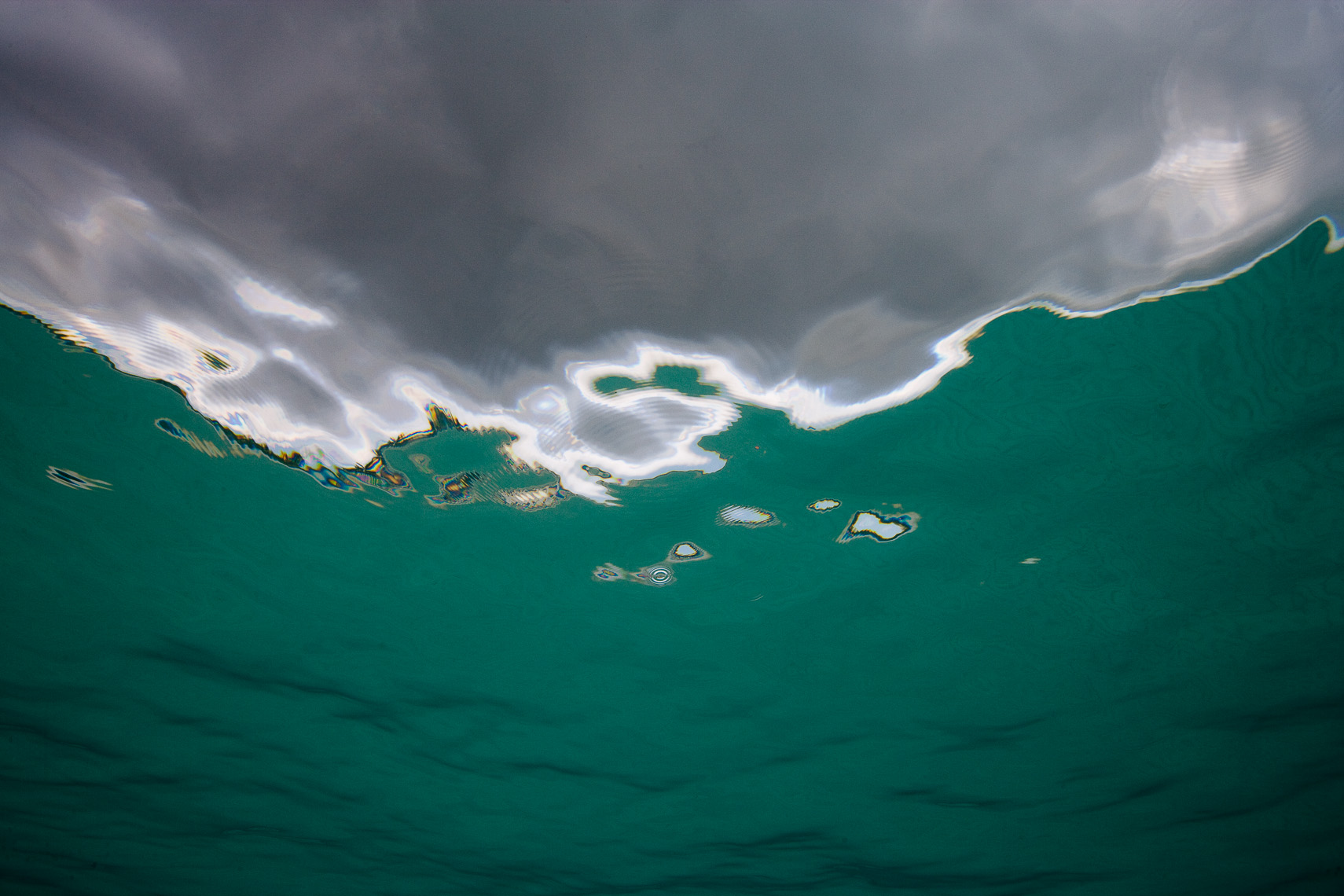 Tim Calver - Underwater Photography